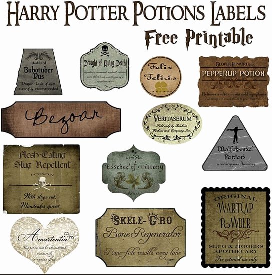 Potion Label Template Unique Make Your Own Potions Decor