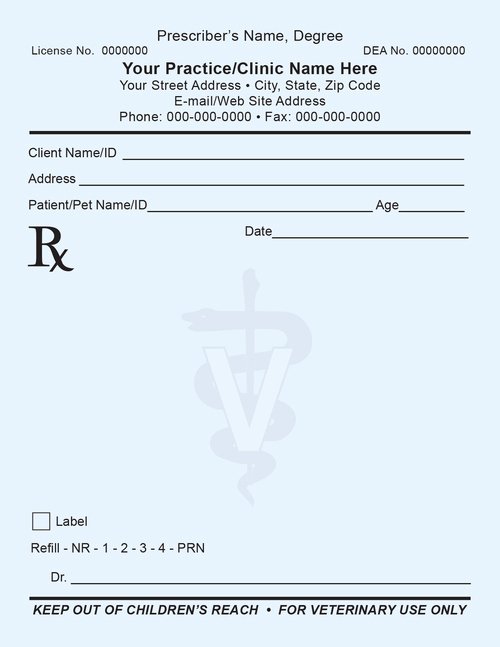 Prescription Pad Template Microsoft Word Luxury Rx1 Prescription Pad Positive Impressions