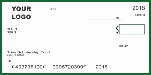 Presentation Checks Template New Big Check Giant Novelty Check Donation Check