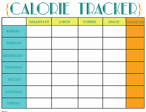 Printable Calorie Tracker Awesome Printable Calorie Tracker Chart