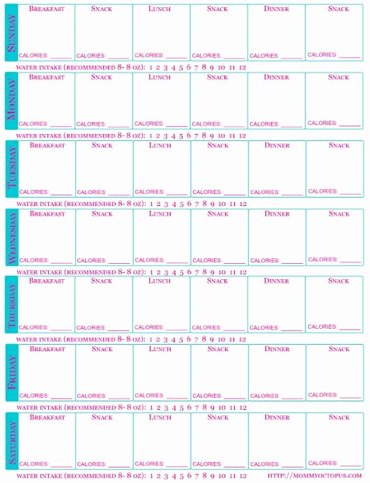 Printable Calorie Tracker Beautiful Best 25 Food Journal Printable Ideas On Pinterest