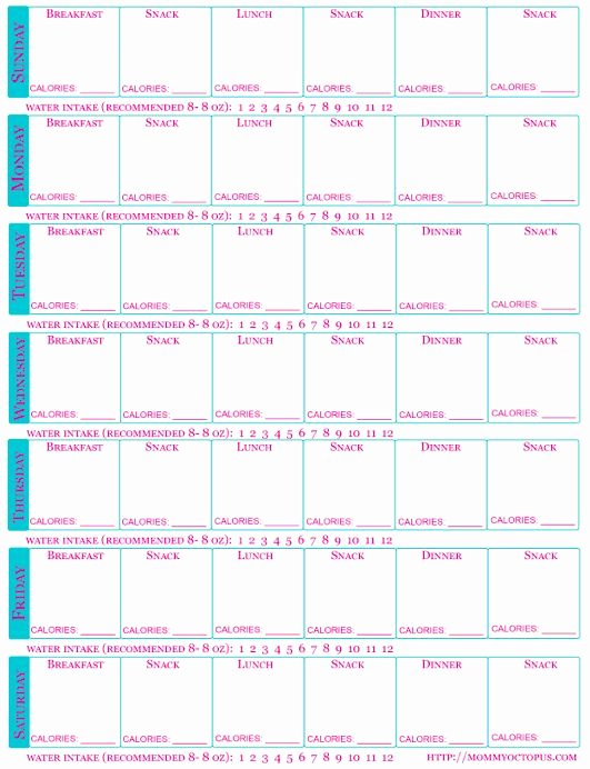 Printable Calorie Tracker Beautiful Best 25 Food Journal Printable Ideas On Pinterest