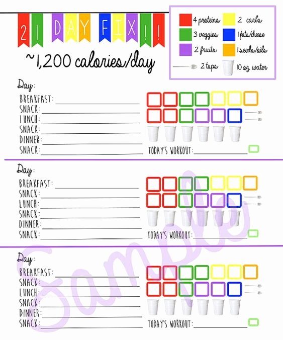 Printable Calorie Tracker Inspirational 21 Day Fix Logging System Tracking Sheet Beach Body 1 200