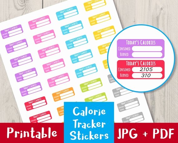 Printable Calorie Tracker Luxury Calorie Tracker Printable Planner Stickers Bullet Journal