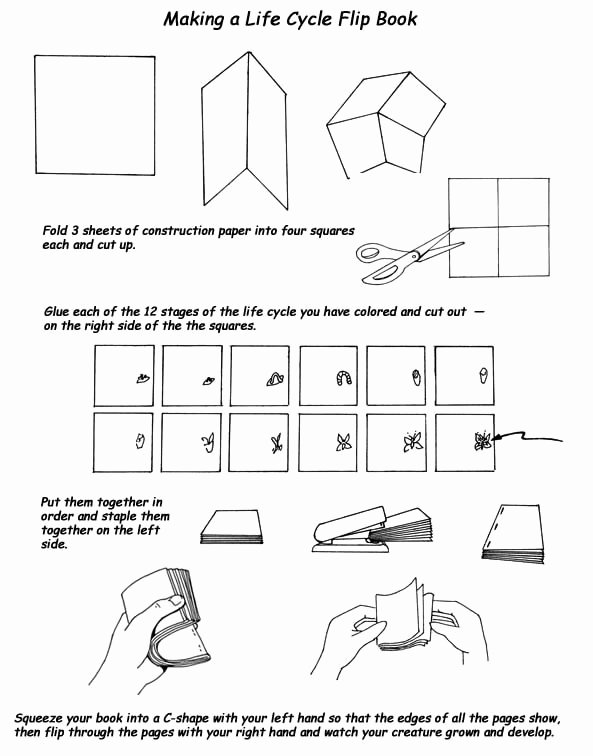 Printable Flip Book Template Awesome One How Things Work Flip Book Research Workflow