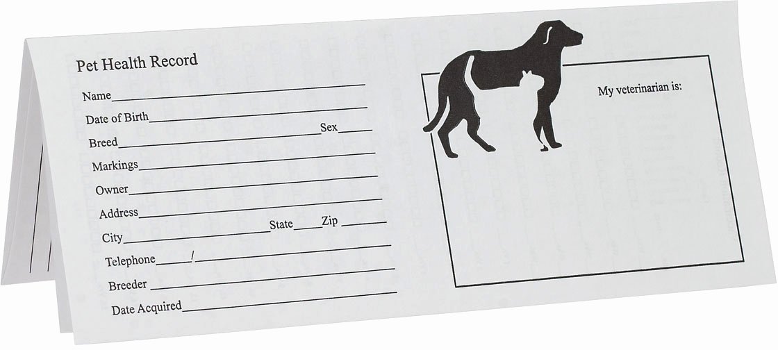 Printable Puppy Shot Record Awesome Pet Records for Dog and Cats Instruments