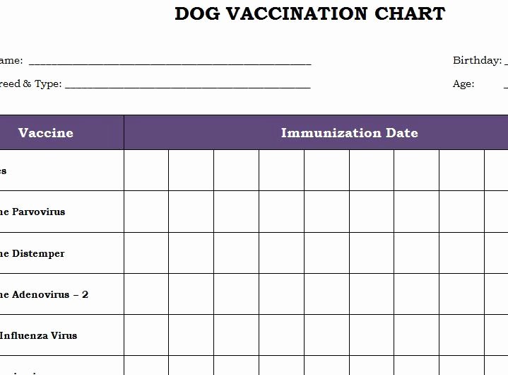 Printable Puppy Shot Record Lovely Dog Vaccination Chart Printable Template