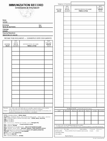 Printable Puppy Shot Record Lovely Immunization Record Templates and Samples