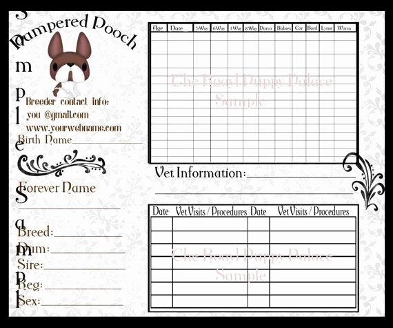 Printable Puppy Shot Records Fresh Digital Darling French Bulldog Customizable Vaccination Cards