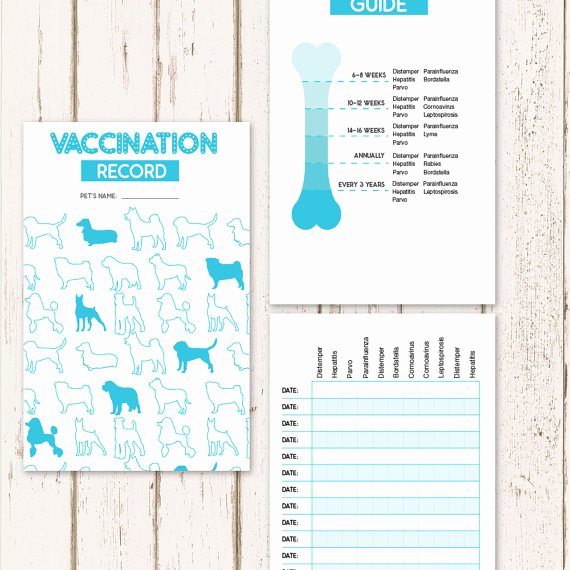 Printable Puppy Shot Records Luxury Printable Dog Vaccine Health Record Pet Care Record Book