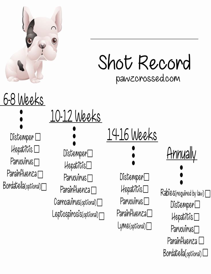 Printable Puppy Shot Records New Best 25 New Puppy Ideas On Pinterest