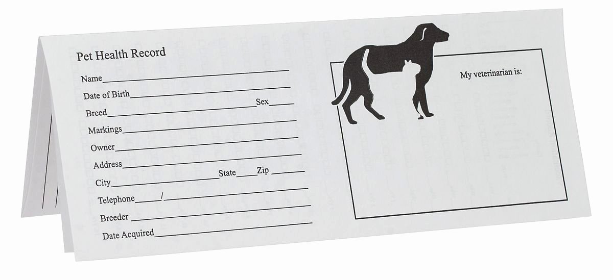 Printable Puppy Shot Records New Printable Puppy Shot Records