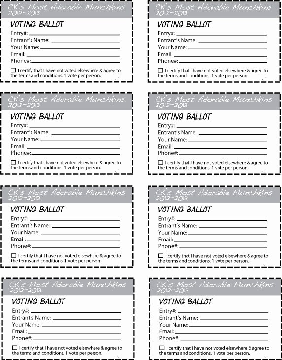 Prize Drawing Template Unique Contest Entry form Template Door Prize Drawing Slips