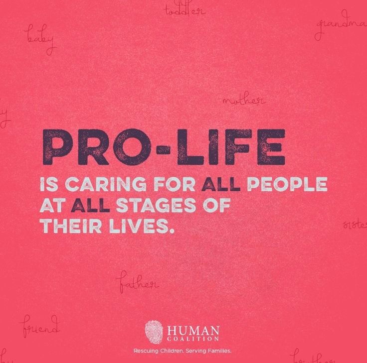 Pro Life Persuasive Essays Luxury Argumentative Pro Life Essays