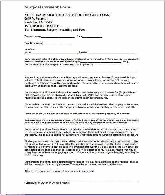 Procedure Consent form Unique Sample Medical Consent form