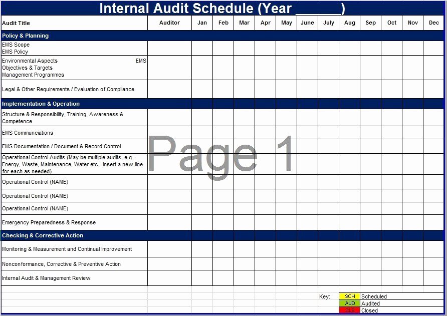 Process Audit Template Inspirational Schedule forms Printable