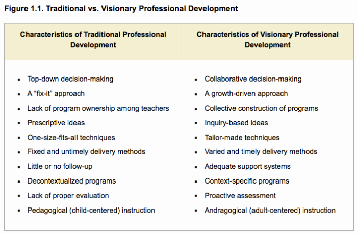 Professional Development Plan for Teachers Example Lovely Teacher Agency Self Directed Professional Development