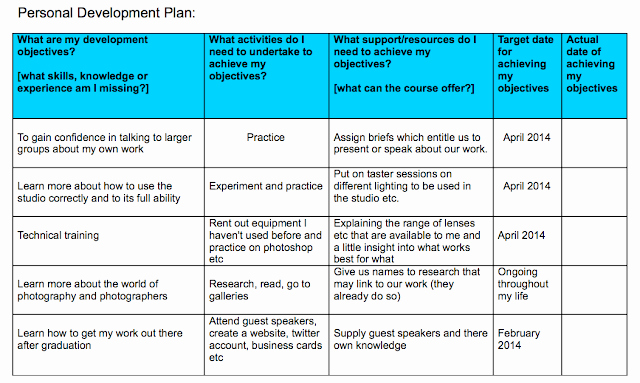 Professional Development Plan Sample Best Of Personal Development Plan Professional Frameworks 3