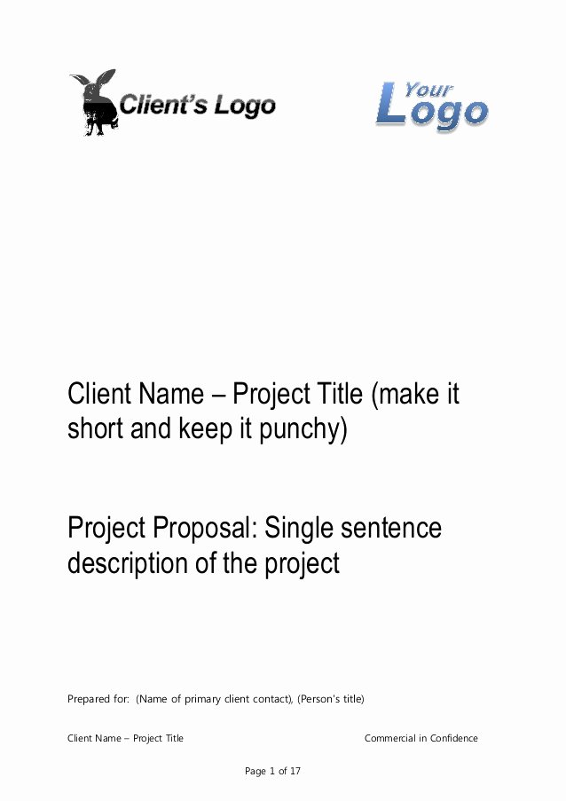 Professional Proposal Template Awesome Business Proposal Template for Consulting Program