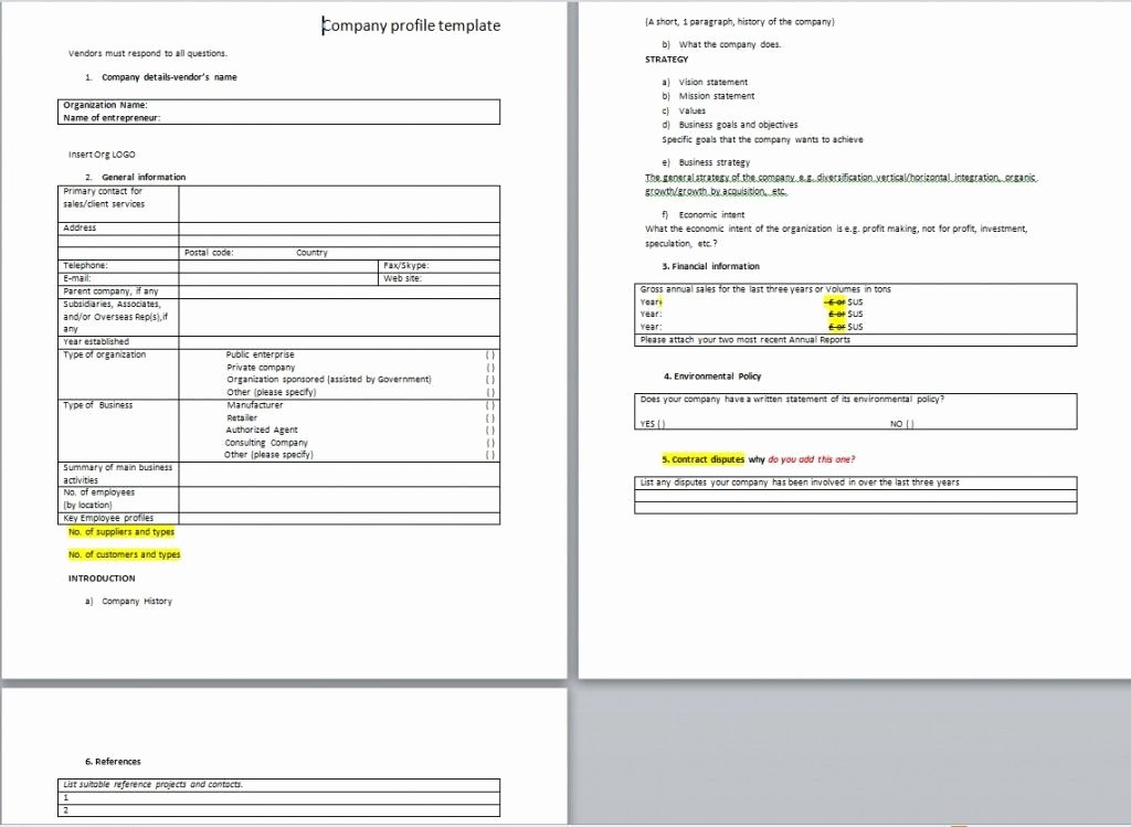 Profile Template Word Beautiful Download Free Sample Pany Profile Word Templates From