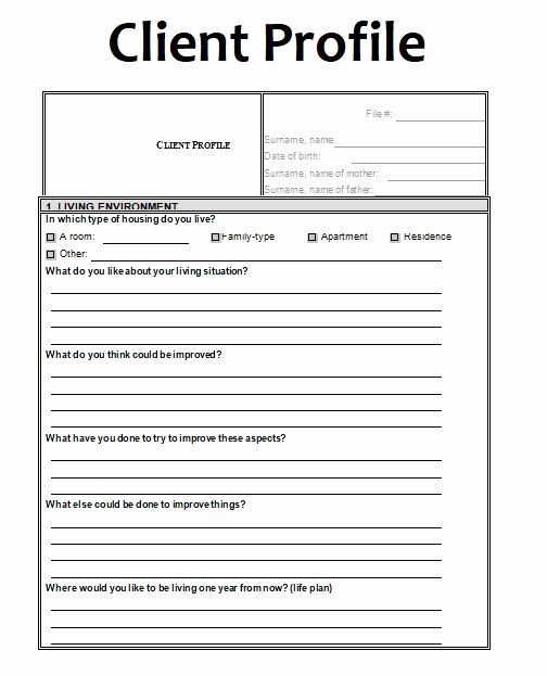Profile Template Word Fresh Business Templates