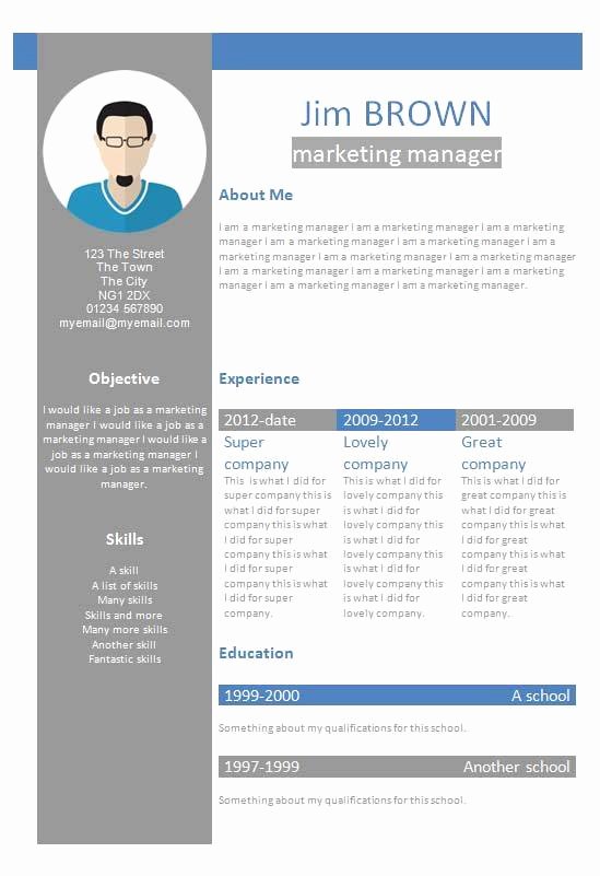 Profile Template Word Inspirational Free Profile Creative Cv Resume Template In Microsoft Word