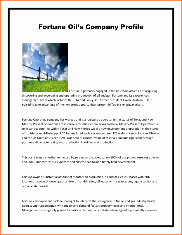 Profile Template Word Lovely 7 Pany Profile Example Pdf Sample Memo format