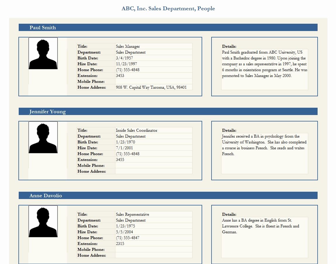 Profile Template Word Lovely Employee Profile Template