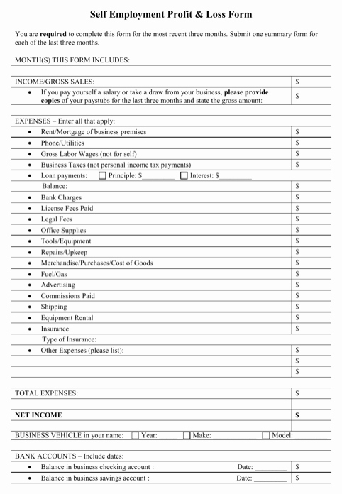 Profit and Loss Template for Self Employed New Download Profit and Loss Statement Template for Free