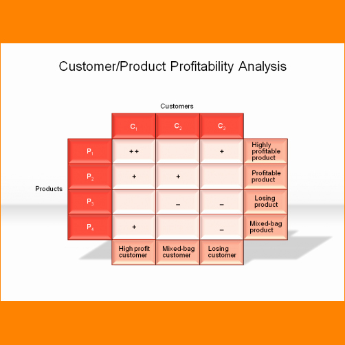 Profitability Analysis Template Awesome 6 Customer Profitability Analysis