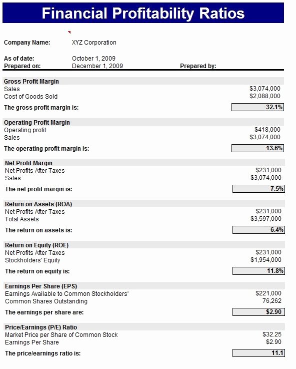 Profitability Analysis Template Lovely 17 Best Images About I Love to Teach On Pinterest