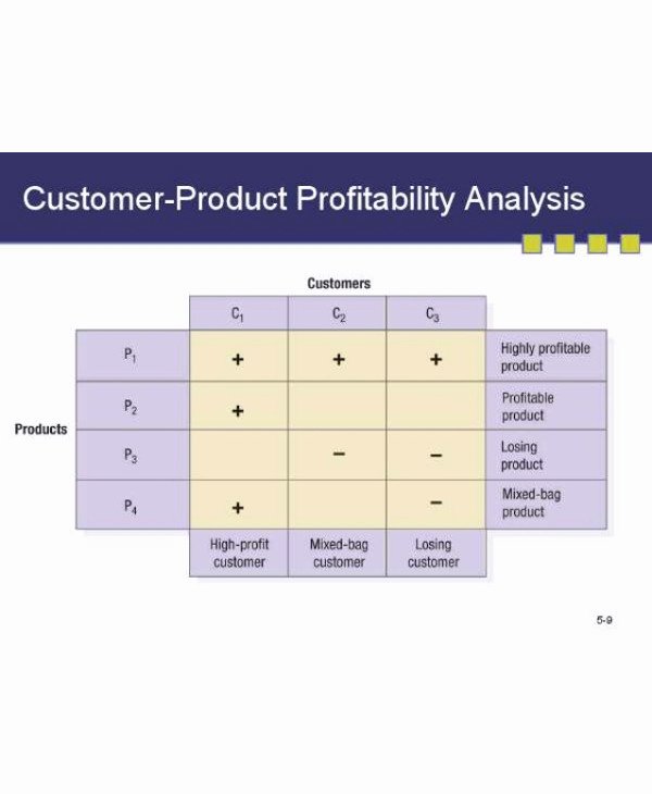 Profitability Analysis Template New 9 Customer Profitability Analysis Examples Pdf