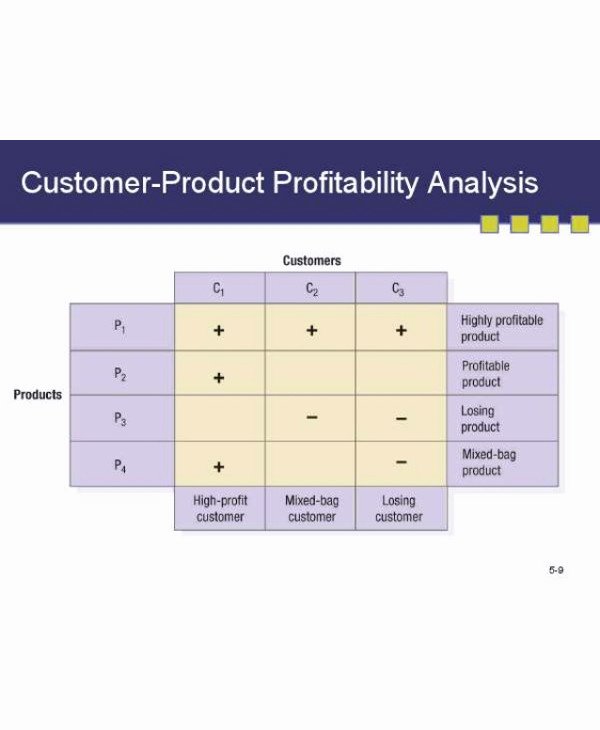 Profitability Analysis Template New 9 Customer Profitability Analysis Examples Pdf