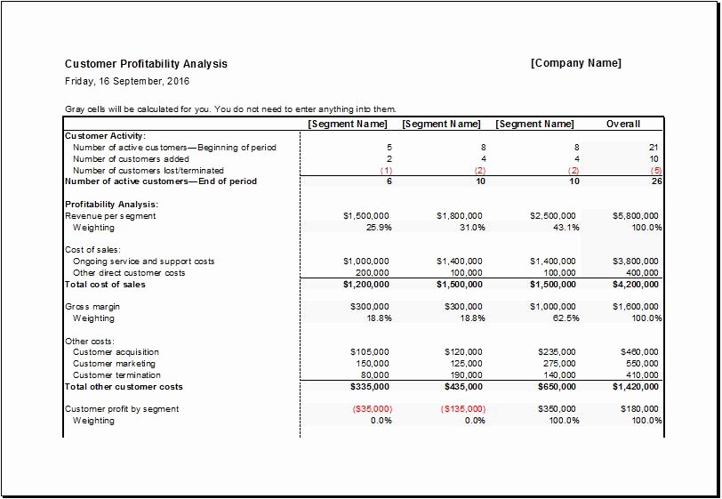 Profitability Analysis Template Unique Customer Portfolio &amp; Profitability Analysis Sheets