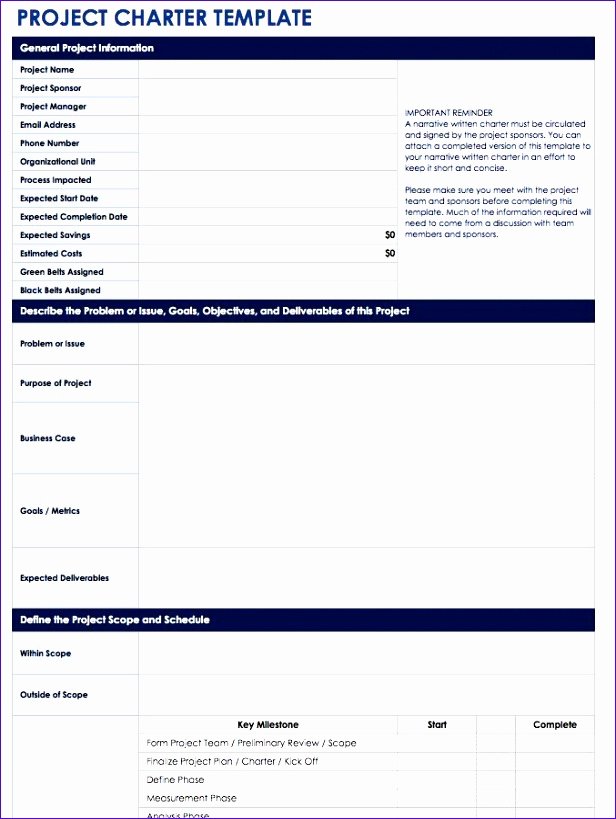 Project Charter Template Excel Awesome 10 Six Sigma Project Charter Template Excel