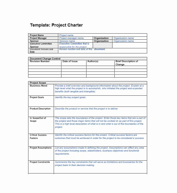 Project Charter Template Excel Inspirational 40 Project Charter Templates &amp; Samples [excel Word