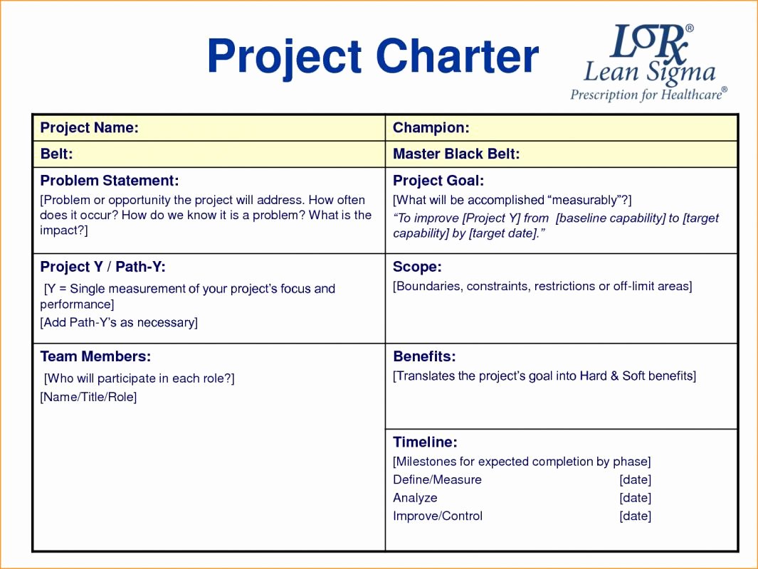 Project Charter Template Excel Inspirational Project Charter Example