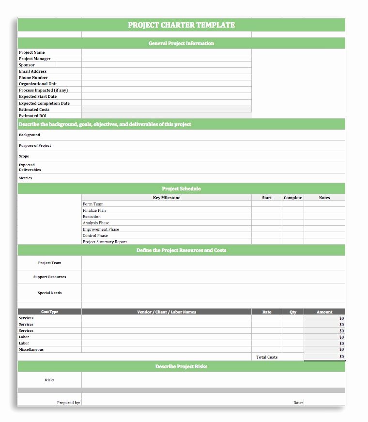 Project Charter Template Excel Lovely Project Charter Template