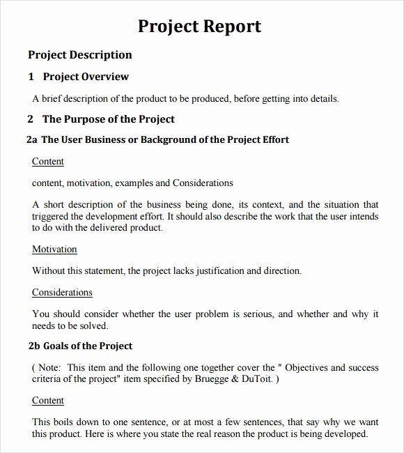 Project Closeout Report Template Lovely 26 Project Report Templates Download Docs Word Pages