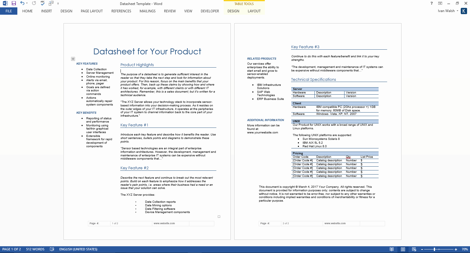 Project Data Sheet Template Elegant Datasheet Templates 2 X Ms Word