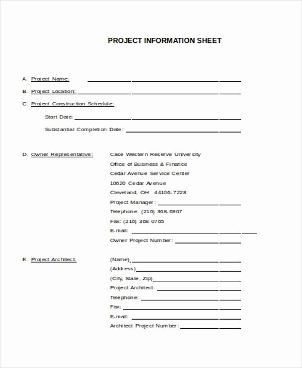 Project Data Sheet Template Unique 27 Sheet Templates In Word