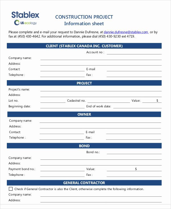 Project Data Sheet Template Unique 49 Information Sheet Examples