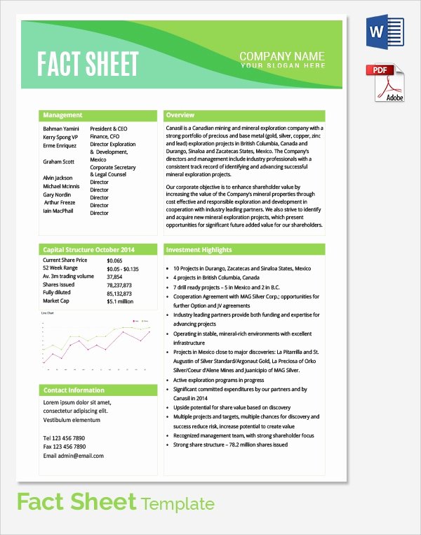 Project Information Sheet Template Fresh Sample Fact Sheet Template 14 Free Download Documents