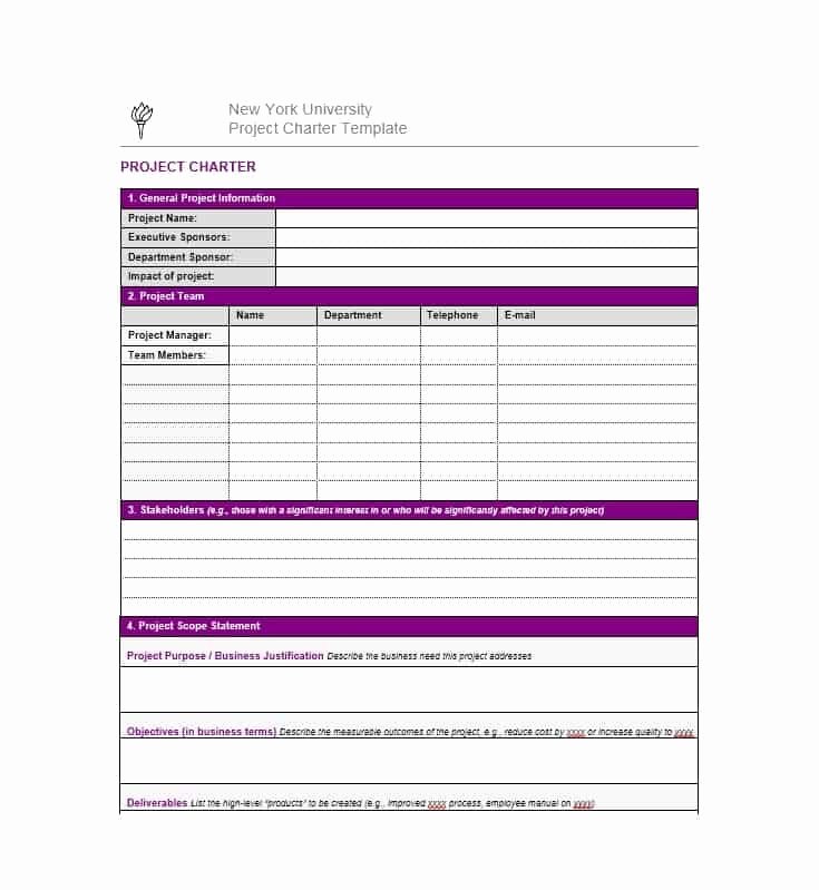 Project Information Sheet Template Luxury 40 Project Charter Templates &amp; Samples [excel Word