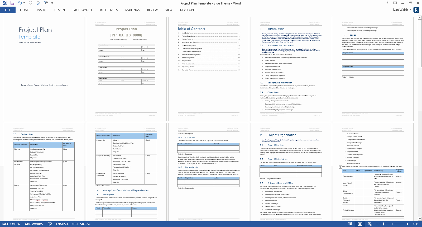 Project Plan Examples Excel Best Of Project Plan Template – Download Ms Word &amp; Excel forms