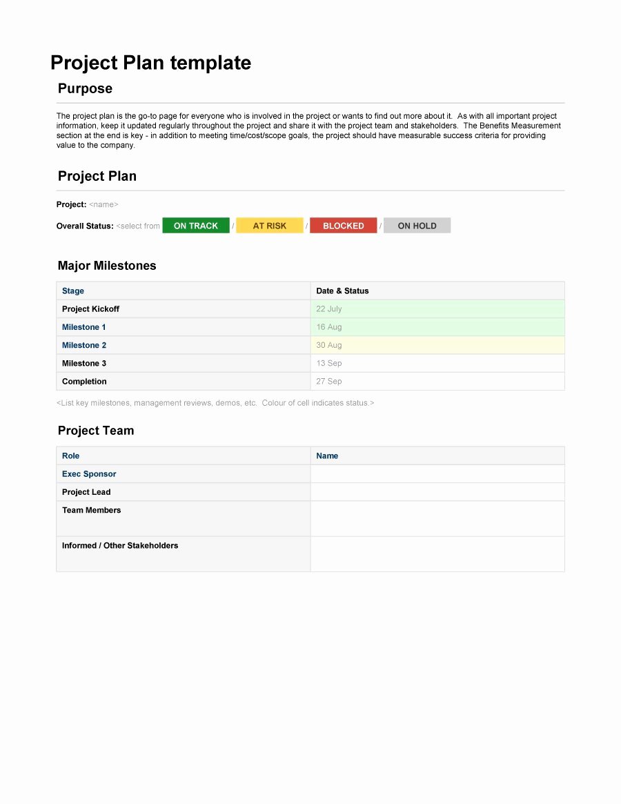 Project Plan Examples Excel Fresh 48 Professional Project Plan Templates [excel Word Pdf