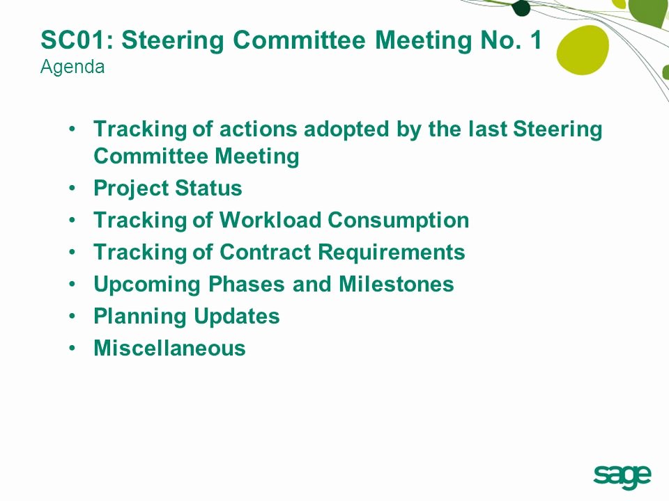 Project Status Meeting Agenda Awesome Steering Mittee No 1 Ppt Video Online