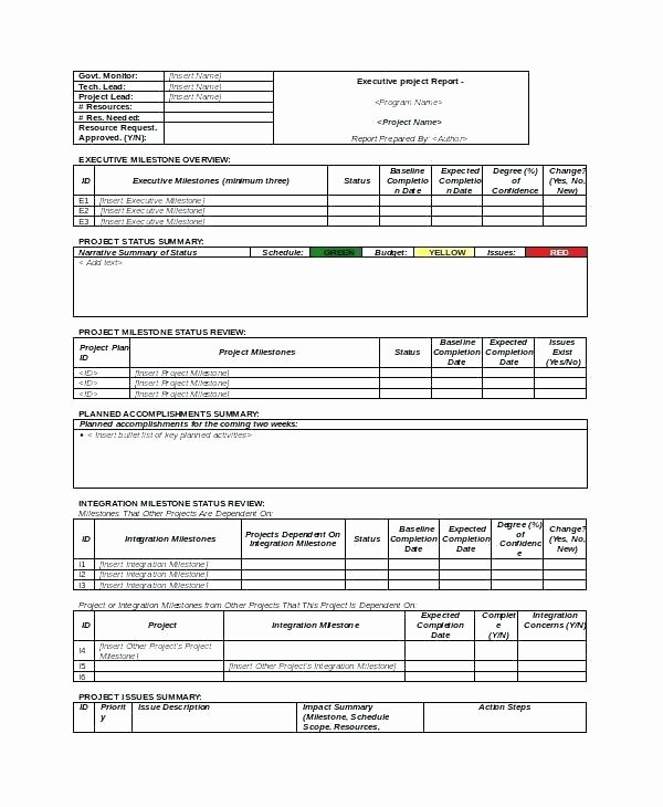 Project Status Meeting Agenda New Status Meeting Agenda Template