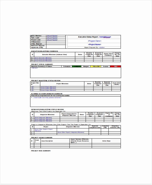 Project Status Meeting Template Beautiful 8 Project Status Templates Free Sample Example