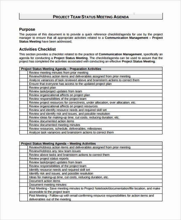 Project Status Meeting Template Fresh 44 Agenda Templates In Pdf